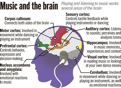 how do different genres of music affect the brain? and does it really matter?