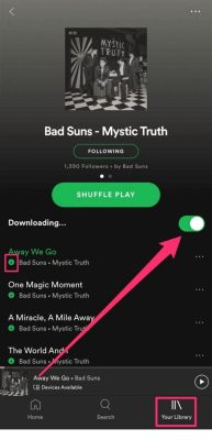 how to download music from spotify to phone and why it matters for your streaming experience