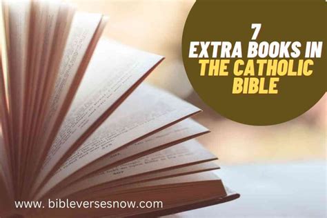 Where Did the Extra Books in the Catholic Bible Come From and Why They Matter